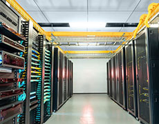 Empowering Partnerships, Building Expertise